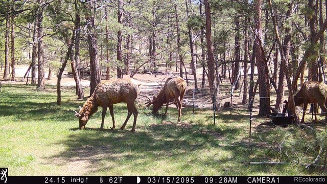 23967 High Timber Ln, Agate, CO 80101 - photo 39