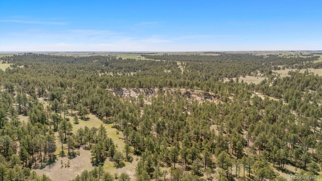 23967 High Timber Ln, Agate, CO 80101 - photo 3