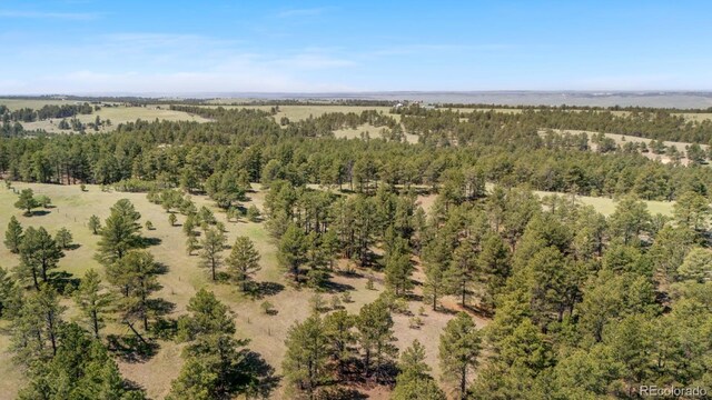 23967 High Timber Ln, Agate, CO 80101 - photo 4