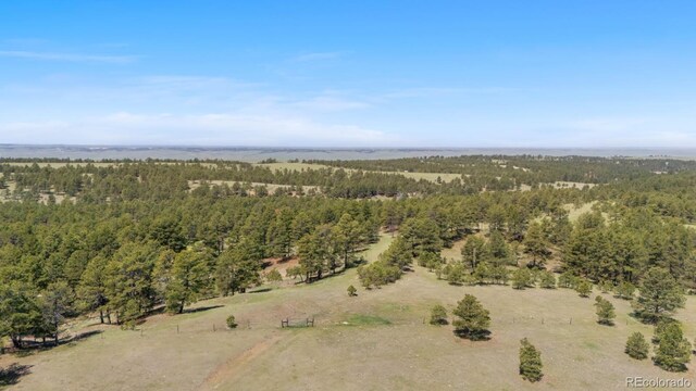 23967 High Timber Ln, Agate, CO 80101 - photo 5
