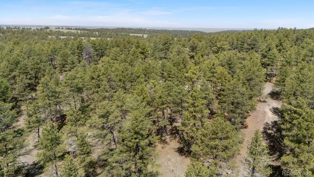 23967 High Timber Ln, Agate, CO 80101 - photo 6