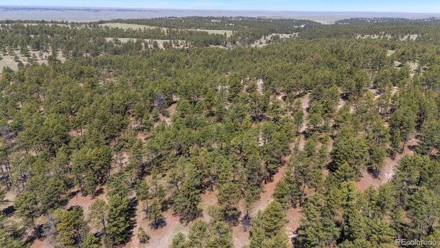23967 High Timber Ln, Agate, CO 80101 - photo 7