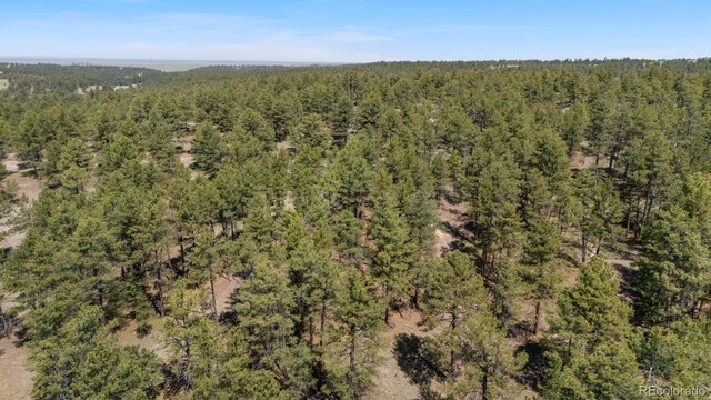 23967 High Timber Ln, Agate, CO 80101 - photo 8