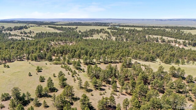 23967 High Timber Ln, Agate, CO 80101 - photo 9