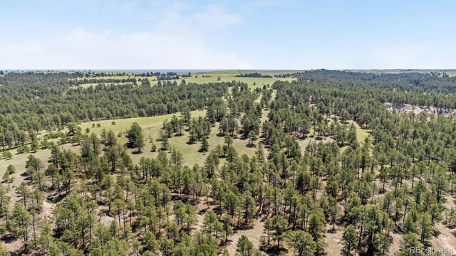 23967 High Timber Ln, Agate, CO 80101 - photo 10