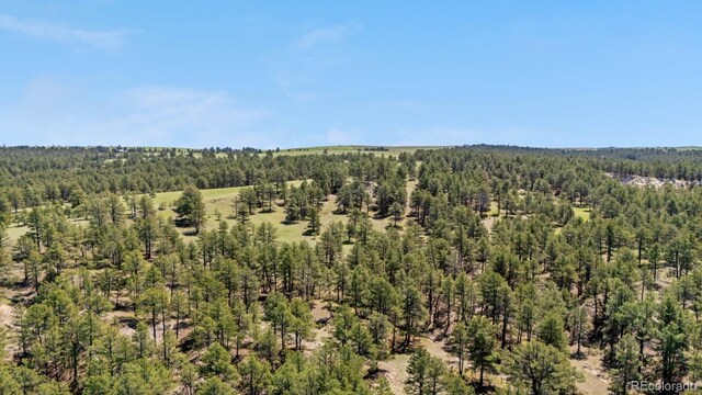 23967 High Timber Ln, Agate, CO 80101 - photo 11