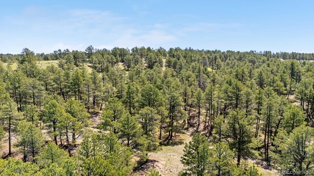 23967 High Timber Ln, Agate, CO 80101 - photo 12