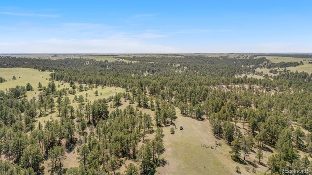 23967 High Timber Ln, Agate, CO 80101 - photo 13