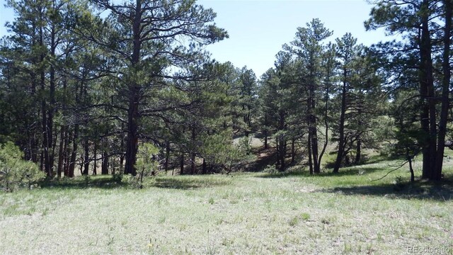 23967 High Timber Ln, Agate, CO 80101 - photo 19