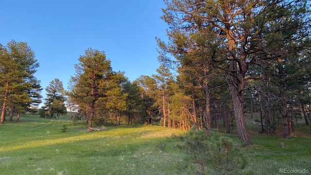 23967 High Timber Ln, Agate, CO 80101 - photo 14
