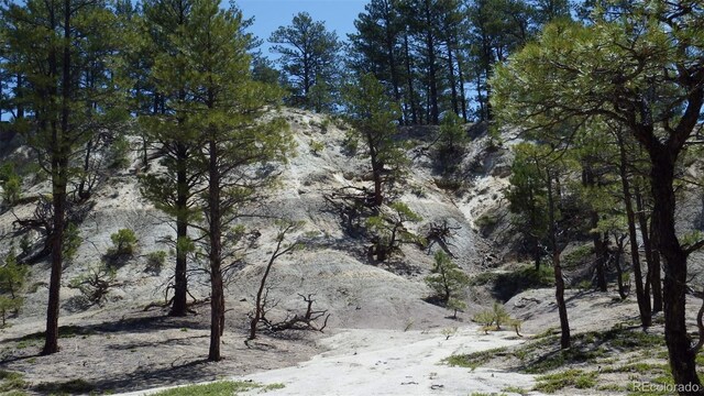 23967 High Timber Ln, Agate, CO 80101 - photo 26