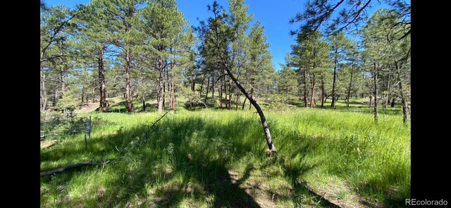 23967 High Timber Ln, Agate, CO 80101 - photo 15