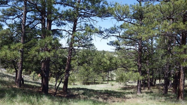 23967 High Timber Ln, Agate, CO 80101 - photo 22