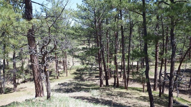 23967 High Timber Ln, Agate, CO 80101 - photo 23
