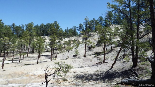 23967 High Timber Ln, Agate, CO 80101 - photo 24