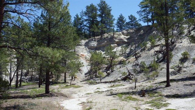 23967 High Timber Ln, Agate, CO 80101 - photo 25