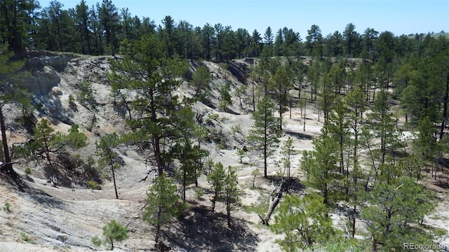 23967 High Timber Ln, Agate, CO 80101 - photo 27