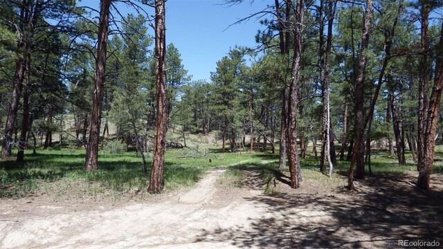 23967 High Timber Ln, Agate, CO 80101 - photo 28