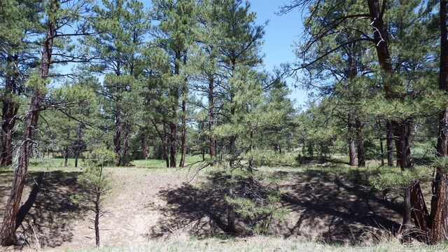 23967 High Timber Ln, Agate, CO 80101 - photo 29