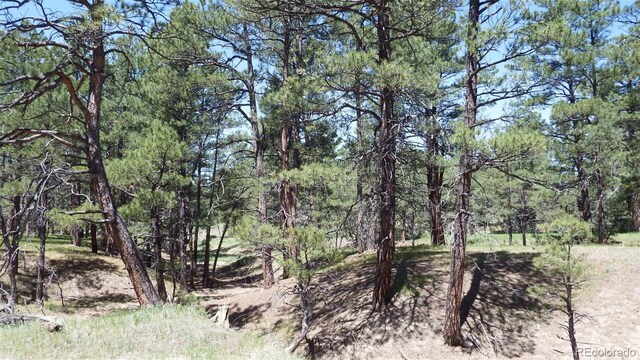 23967 High Timber Ln, Agate, CO 80101 - photo 30
