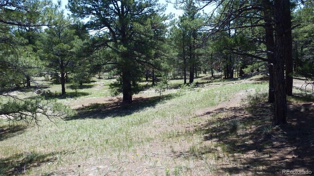 23967 High Timber Ln, Agate, CO 80101 - photo 31