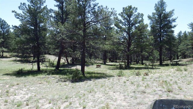 23967 High Timber Ln, Agate, CO 80101 - photo 33