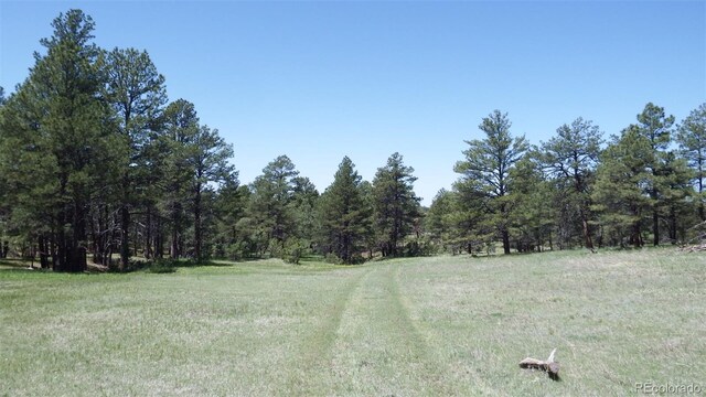 23967 High Timber Ln, Agate, CO 80101 - photo 34