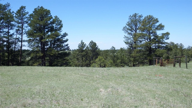 23967 High Timber Ln, Agate, CO 80101 - photo 35