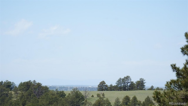 23967 High Timber Ln, Agate, CO 80101 - photo 36