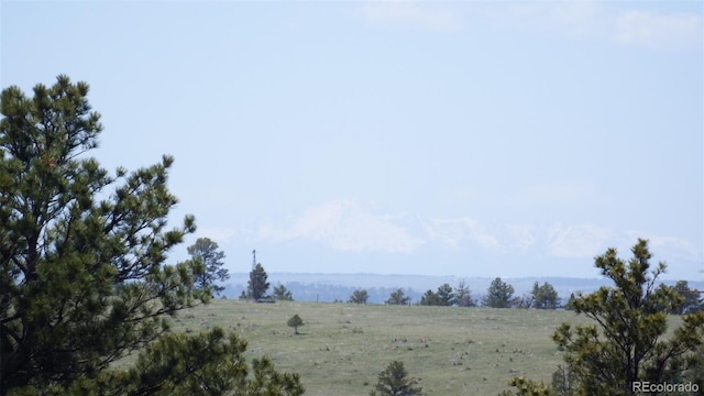 23967 High Timber Ln, Agate, CO 80101 - photo 37