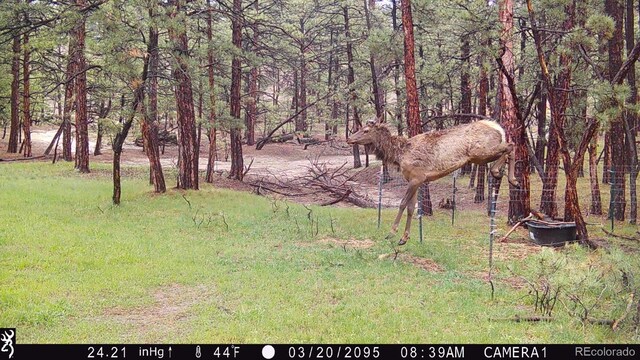 23967 High Timber Ln, Agate, CO 80101 - photo 40