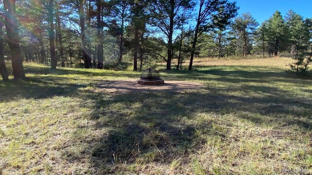 23967 High Timber Ln, Agate, CO 80101 - photo 16