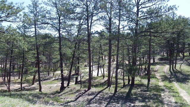 23967 High Timber Ln, Agate, CO 80101 - photo 17