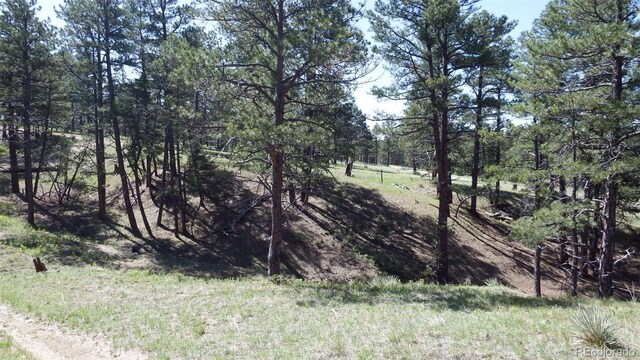 23967 High Timber Ln, Agate, CO 80101 - photo 18