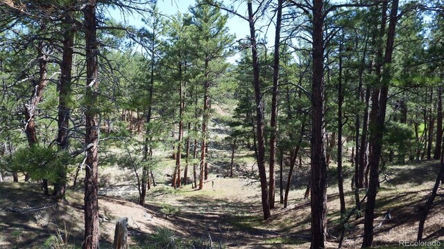 23967 High Timber Ln, Agate, CO 80101 - photo 20