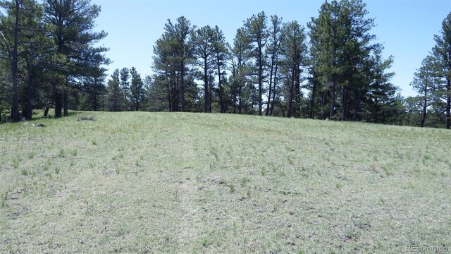 23967 High Timber Ln, Agate, CO 80101 - photo 21