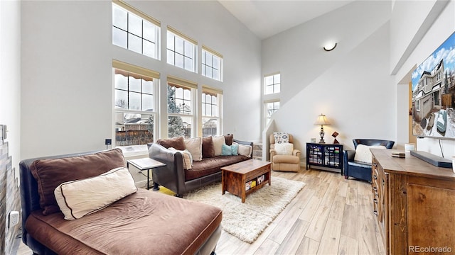 living room with light hardwood / wood-style floors and a high ceiling