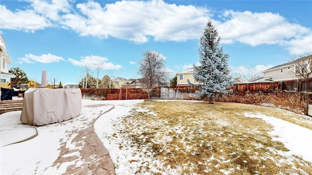 view of yard covered in snow