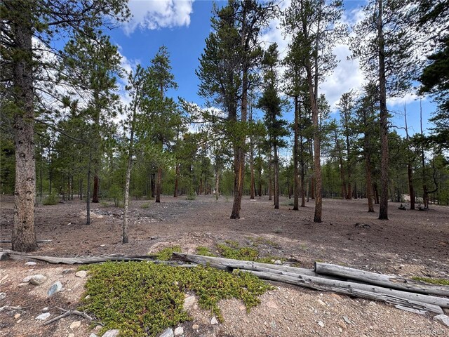 719 Peak View Dr, Twin Lakes, CO 81251 - photo 1