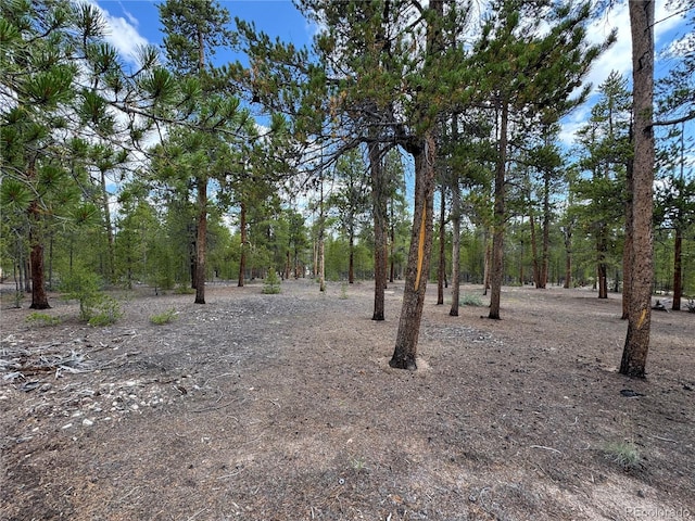 719 Peak View Dr, Twin Lakes, CO 81251 - photo 3