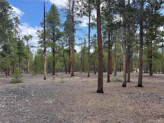 719 Peak View Dr, Twin Lakes, CO 81251 - photo 4