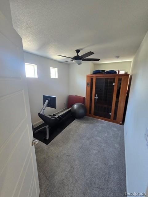 18006 E 103rd Ave, Commerce City, CO 80022 - exercise area with ceiling fan and carpet