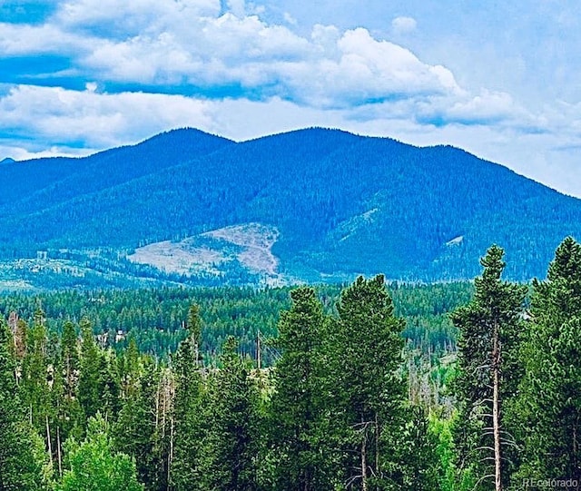 797 Fawn Dr, Tabernash, CO 80478