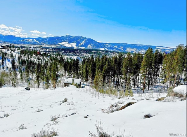 797 Fawn Dr, Tabernash, CO 80478