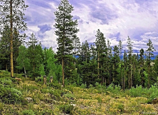 797 Fawn Dr, Tabernash, CO 80478