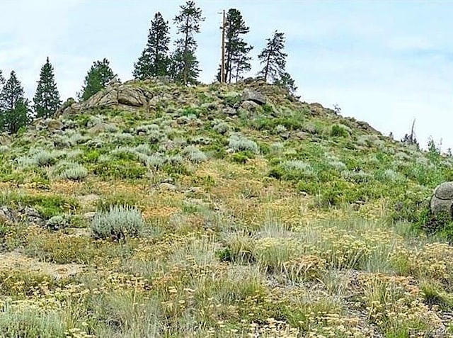 797 Fawn Dr, Tabernash, CO 80478