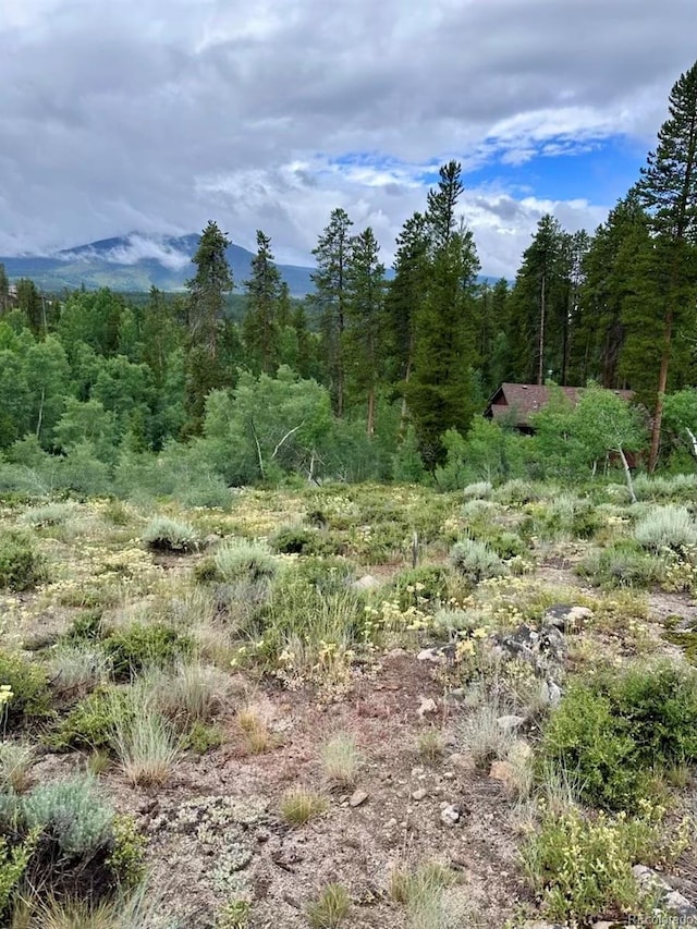 797 Fawn Dr, Tabernash, CO 80478