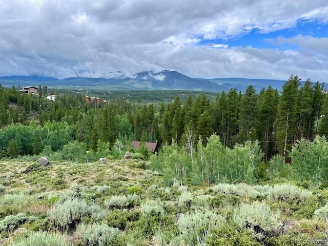 797 Fawn Dr, Tabernash, CO 80478