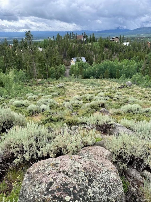 797 Fawn Dr, Tabernash, CO 80478