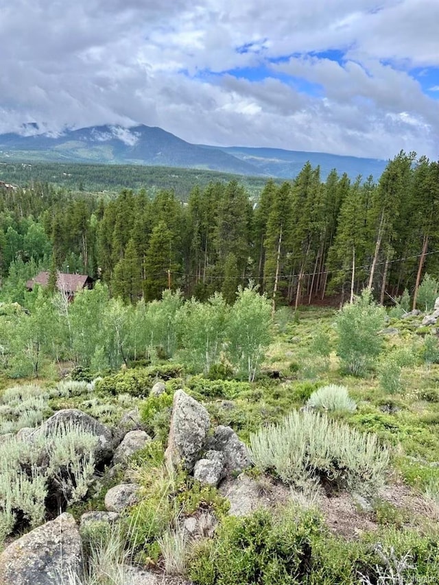 797 Fawn Dr, Tabernash, CO 80478